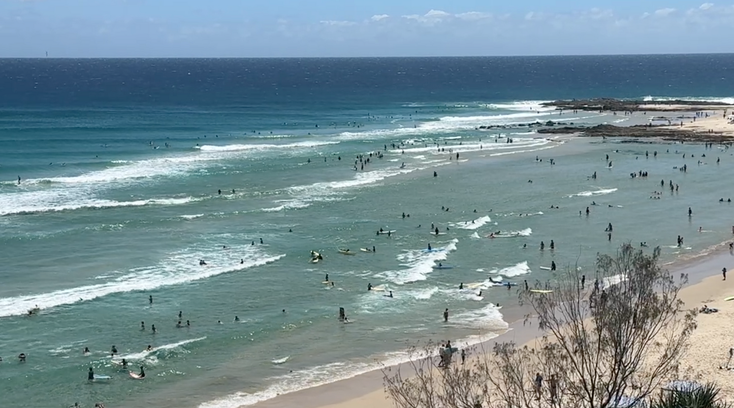 Snapper Rocks - Blue Lines