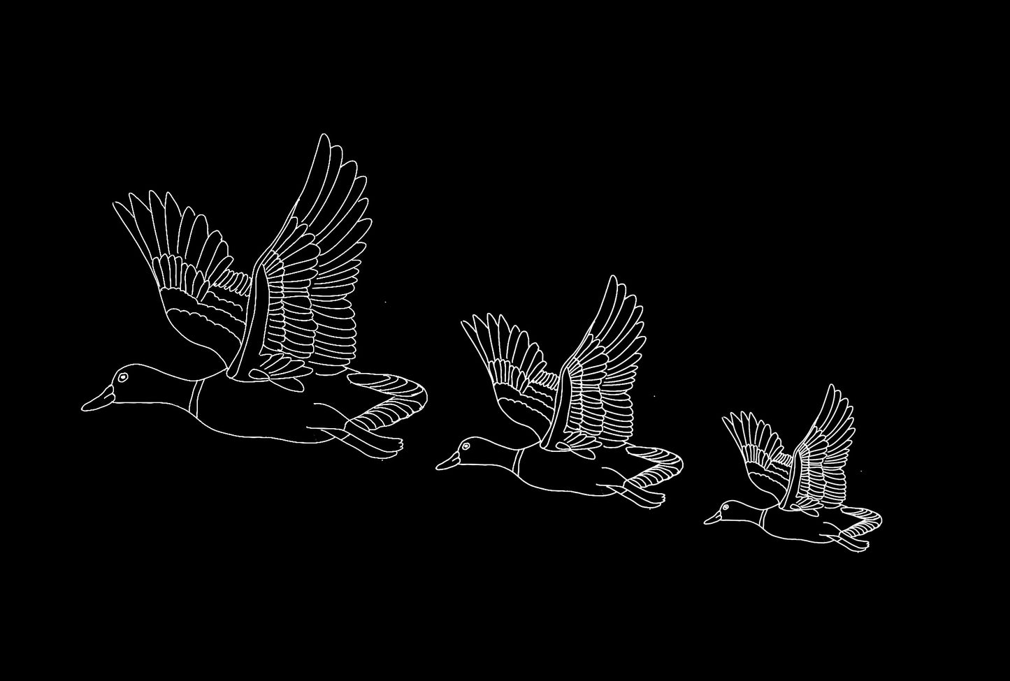 Unisex- Flying Ducks Tee